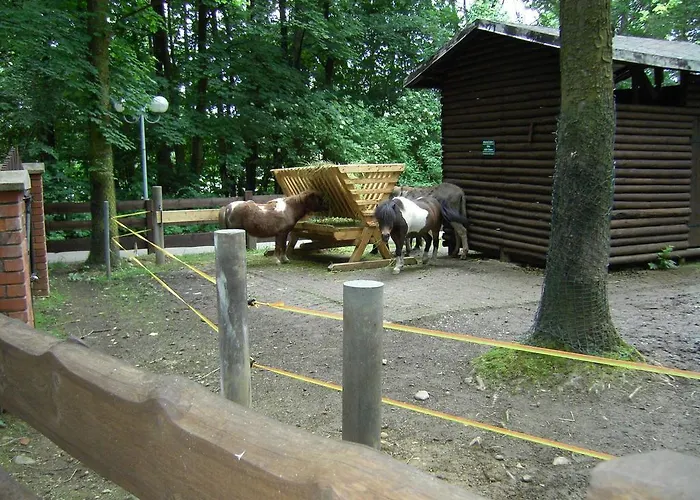 شقة Rothers-ferienwohnung *